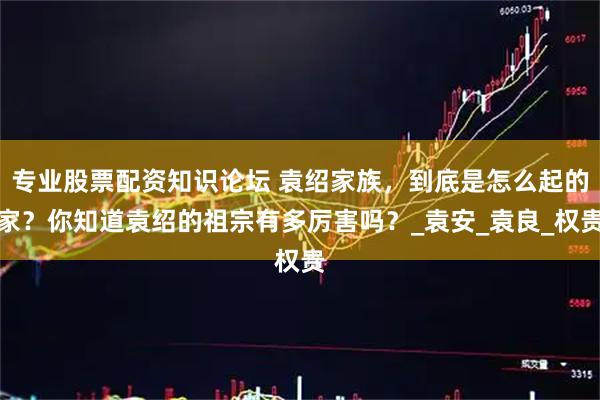 专业股票配资知识论坛 袁绍家族,到底是怎么起的家?你知道袁绍的祖宗有多厉害吗?_袁安_袁良_权贵