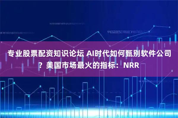 专业股票配资知识论坛 AI时代如何甄别软件公司?美国市场最火的指标:NRR